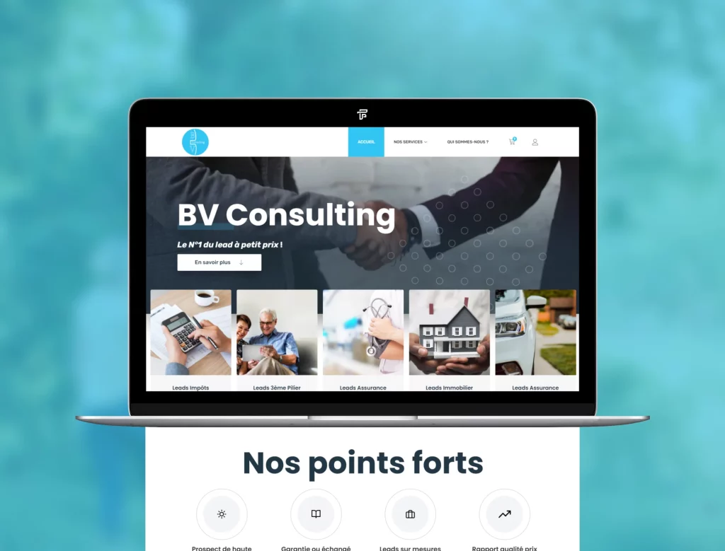 BV Consulting
